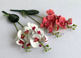SP0400 Artificial Phalaenopsis Orchid with Leaves 54cm White / Pink | ARTISTIC GREENERY