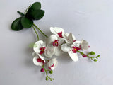 White - SP0400 Artificial Phalaenopsis Orchid with Leaves 54cm White / Pink | ARTISTIC GREENERY