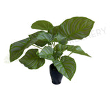 SP0401 Artificial Calathea Peacock Plant 32cm | ARTISTIC GREENERY