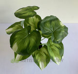 SP0402 Fuax Golden Pothos Plant 32cm | ARTISTIC GREENERY