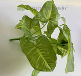 SP0403 Fake Caladium Plant 32cm | ARTISTIC GREENERY