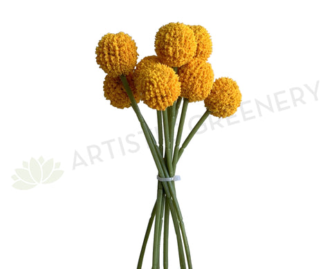 SP0406 Craspedia / Billy Button 24cm Yellow | ARTISTIC GREENERY - Artificial Flowers Supplier Perth WA