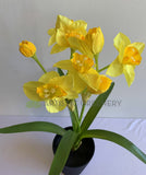 SP0409 Artificial Daffodil Plant 55cm Yellow | ARTISTIC GREENERY