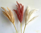 SP0415 Dried Look Astilbe Stem 66cm Pink / Red / White