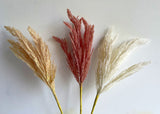 SP0415 Dried Look Astilbe Stem 66cm Pink / Red / White