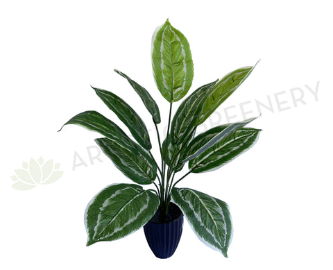 SP0422 Faux Aglaonema / Chinese Evergreen Plant 42cm | ARTISTIC GREENERY