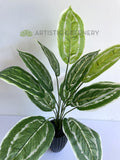 SP0422 Faux Aglaonema / Chinese Evergreen Plant 42cm | ARTISTIC GREENERY