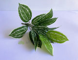 SP0422 Faux Aglaonema / Chinese Evergreen Plant 42cm | ARTISTIC GREENERY