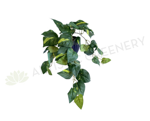 fake golden pothos SP0423 Golden Pothos / Devil's Ivy Bunch 41cm