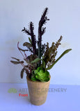 SP0425 Artificial Potted Succulent & Greenery 54cm (SPECIAL) | ARTISTIC GREENERY Indoor Imitation Plants Australia