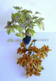SP0431 Silk Maple Bunch 34cm (Autumn Style) 2 Colours | ARTISTIC GREENERY 