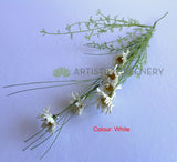 White - SP0433 Dried Flower Style Artificial Daisy Bunch 63cm 4 Colours | ARTISTIC GREENERY