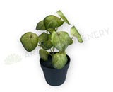 SP0437 Artificial Syngonium Roxanna Pink Vein  29cm | ARTISTIC GREENERY