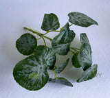 SP0438 Artificial Lilypad Begonia 32cm | ARTISTIC GREENERY