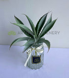 SP0441 Imitation Aloe Vera 27cm Grey | ARTISTIC GREENERY