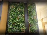 Shingle Inn Belmont - Custom-Design Greenery Wall & Hanging Pot Plants | ARTISTIC GREENERY