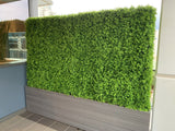 Home Interior Design - Made-to-order Hedge for Built-in Trough (Sue & Ray)