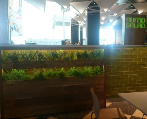 Sumo Salad - Display - Artificial Greenery and Herbs