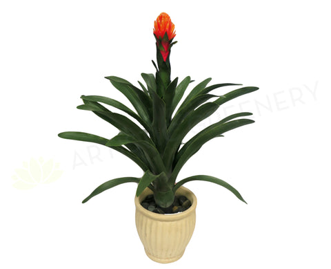 T0001 Bromeliad Plant (Red Flower) 83cm