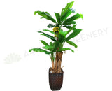 T0026 Banana Tree 200cm