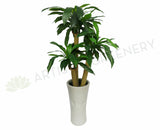 T0054 Dracena Fragrans (set of 3) 120-90-50cm