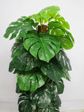 T0058 Split Philo Totem Real Touch Leaves 110cm zoom