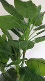 T0079 Philodendron (Red Leaf) Real Touch 135cm
