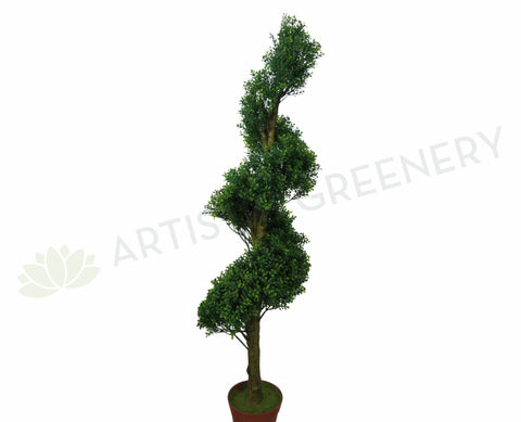 T0089 Spiral (Boxwood) Topiary Tree 165cm