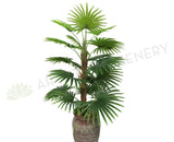 T0107-100 Ruffled Fan Palm Real Touch 100cm