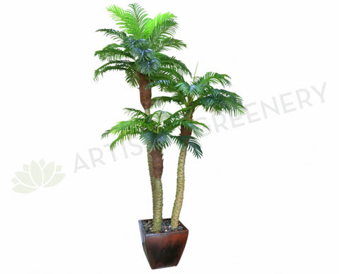 T0110 Phoenix  Palm (set of 3) 300-220-170cm
