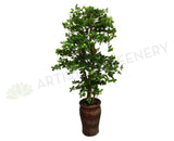 T0114 Schefflera (Bonsai Style) Real Wood Trunk & Real Touch Leaves 165cm