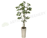 T0118 Ficus Tree Real Touch Leaves 140cm