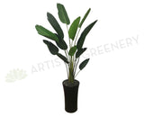 T0119 Giant Bird of Paradise Plant / Strelitzia Nicolai 2 Sizes 190cm / 240cm | ARTISTIC GREENERY