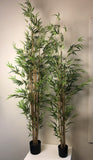 T0124 Bamboo Tree 3 Sizes 190cm / 150cm / 120cm