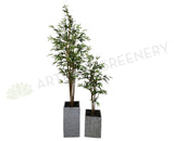 T0124 Bamboo Tree 3 Sizes 190cm / 150cm / 120cm