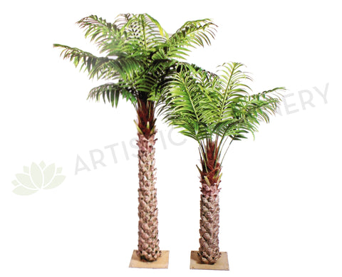 T0127 Premium Phoenix Palm 280cm Real Trunk