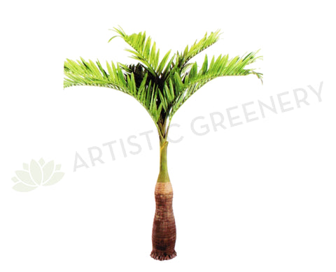 T0129 Phoenix Palm 280cm with Coconut