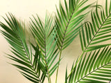 T0137 Areca Palm Branch 80cm Ultra Realistic