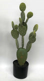 T0138D Pear Cacti 77cm $99