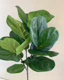 T0141 Fiddle Leaf Fig Branch Green 2 Sizes 64cm & 122cm