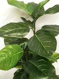 T0148 Fiddle Fig Tree Real Touch Leaves 120cm