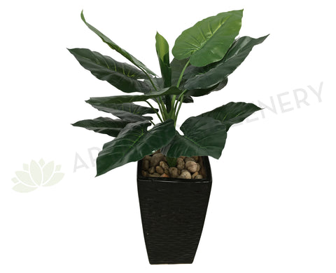 T00149 Taro Plant / Colocasia Esculenta 75cm Real Touch Leaves
