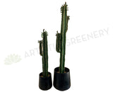 T0153 Artificial Prickly Finger Cactus 3 Sizes 180 / 140 / 100cm | ARTISTIC GREENERY