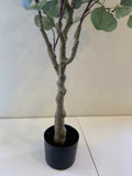 T0157 Artificial Eucalyptus Polyanthemos 120cm | ARTISTIC GREENERY