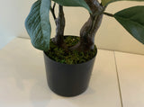 T0158 Artificial Magnolia Plant 105cm tall (50cm wide) | ARTISTIC GREENERY