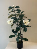 T0158 Artificial Magnolia Plant 105cm tall (50cm wide) | ARTISTIC GREENERY