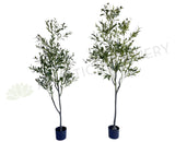 T0159 Artificial Olive Tree with Black Olives 180cm | ARTISTIC GREENERY