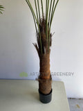 T0161 Fan Palm 3 Sizes 160 / 190 / 240cm | ARTISTIC GREENERY