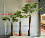 T0161 Fan Palm 3 Sizes 160 / 190 / 240cm | ARTISTIC GREENERY
