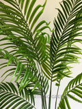 T0163 Artificial Kentia Palm available in 3 Sizes 120/160/180cm | ARTISTIC GREENERY